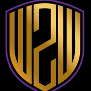 Wall2Wall Security shield