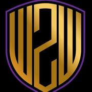 Wall2Wall Security shield